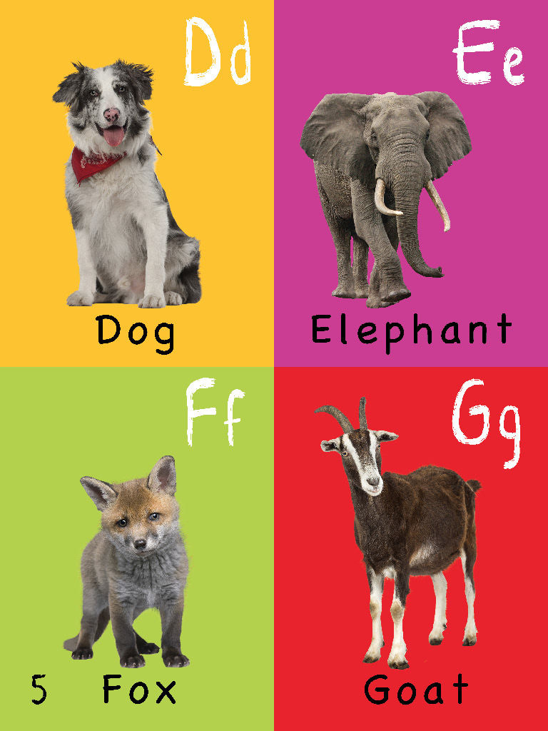 The Toddlers Handbook Numbers Colors Shapes Sizes ABC Animals Opposites and Sounds with over 100 Words that every Kid should Know - photo 5