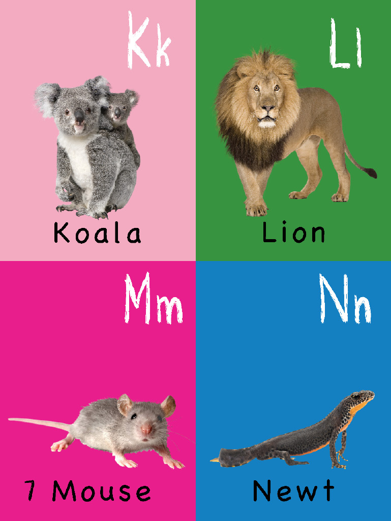 The Toddlers Handbook Numbers Colors Shapes Sizes ABC Animals Opposites and Sounds with over 100 Words that every Kid should Know - photo 7