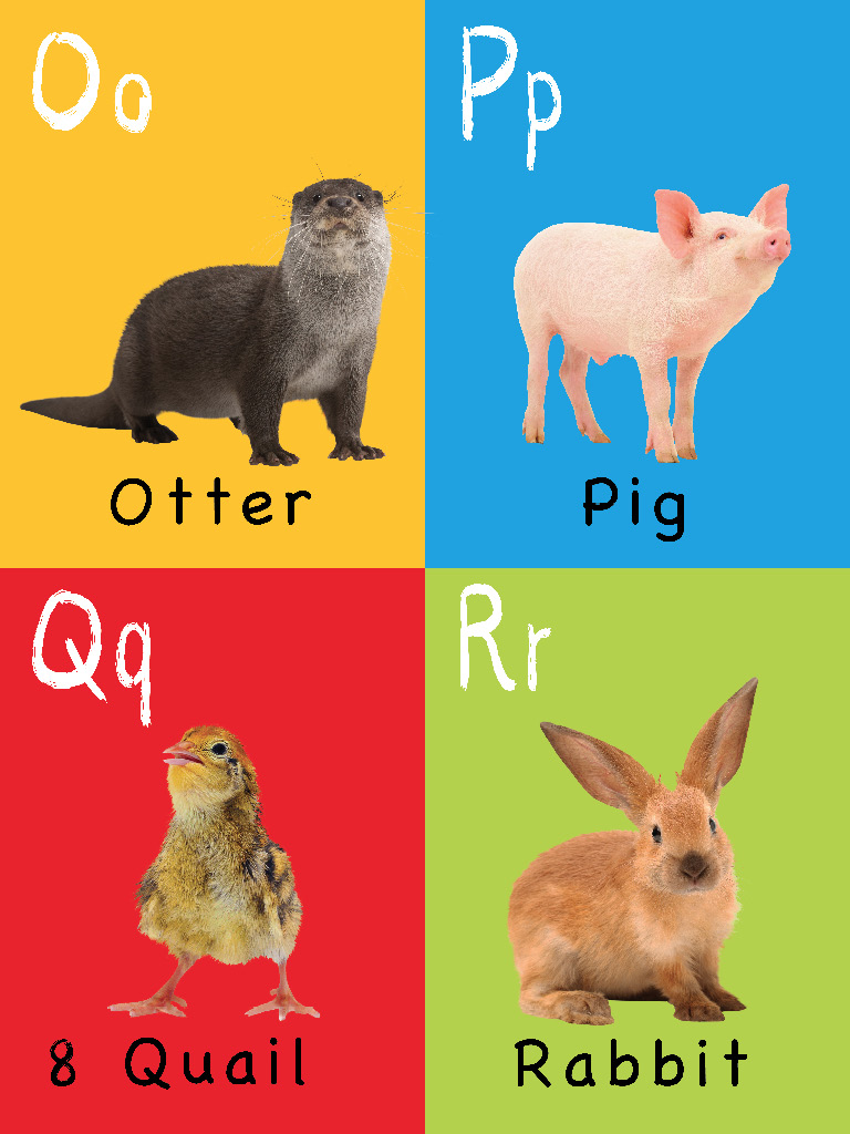 The Toddlers Handbook Numbers Colors Shapes Sizes ABC Animals Opposites and Sounds with over 100 Words that every Kid should Know - photo 8