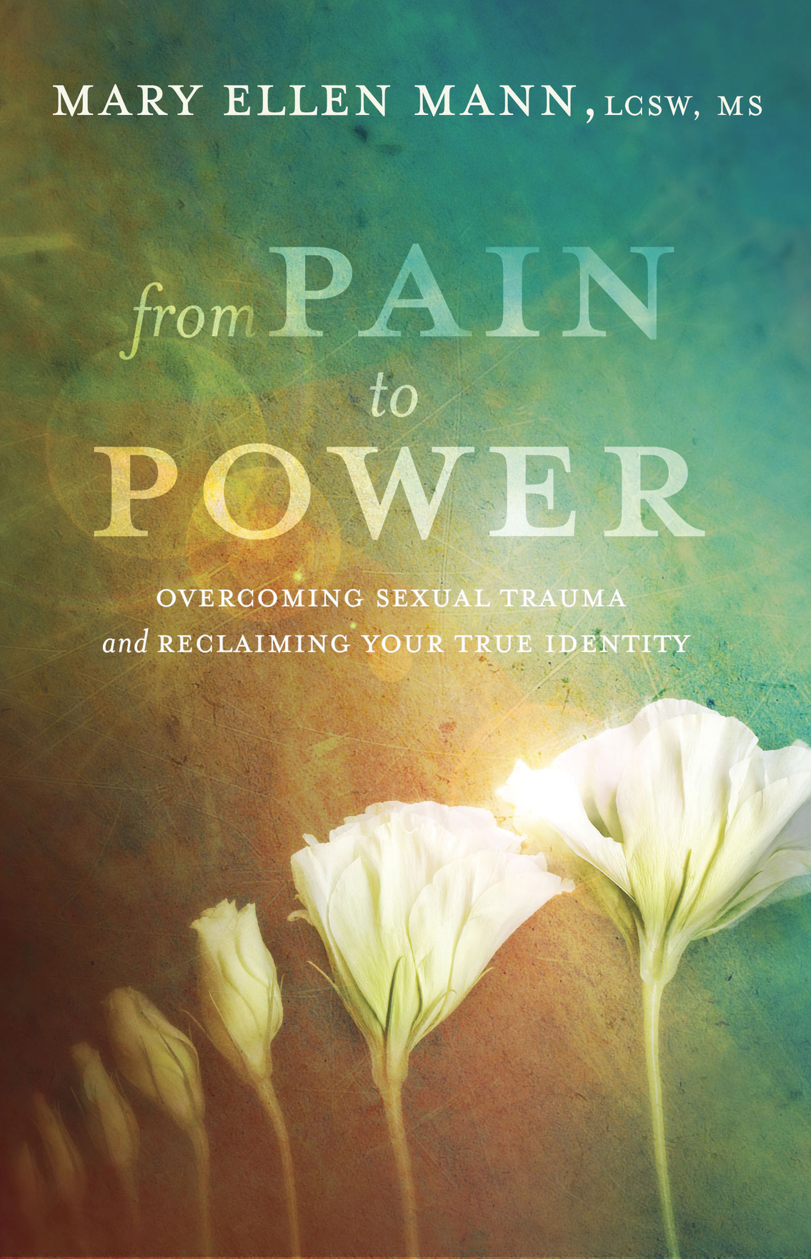 Praise for From Pain to Power From Pain to Power is a beautiful book - photo 1