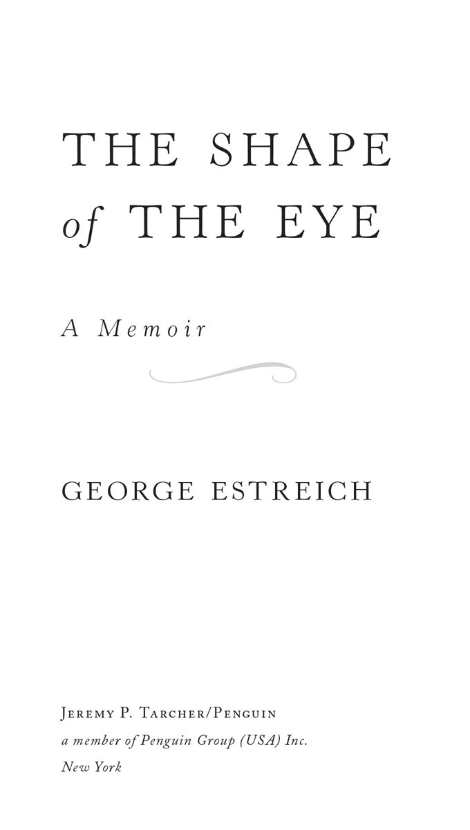 The Shape of the Eye A Memoir - image 2