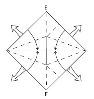 Fold down the top left and right edges folding E in half and over to the - photo 19