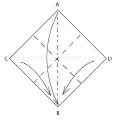 Mountain-fold corners C and D in half Bring corners A C and D down to B - photo 5