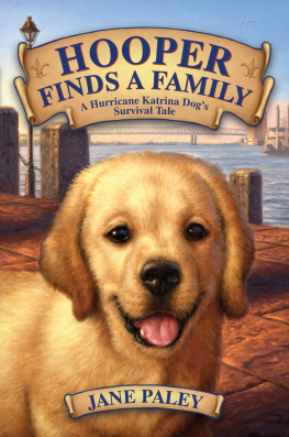 Jane Paley Hooper Finds a Family: A Hurricane Katrina Dogs Survival Tale