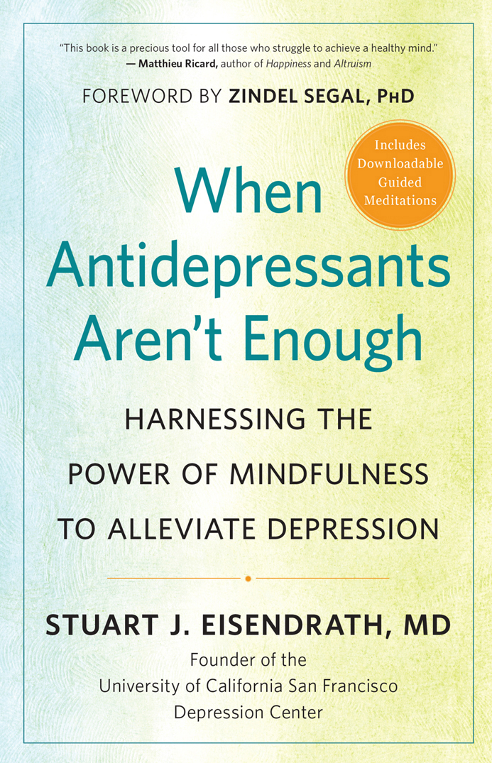Praise for When Antidepressants Arent Enough Based on pioneering neuroscience - photo 1
