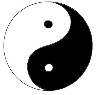 Figure 1 The essential yin and yang of leadership success The complexity of - photo 1