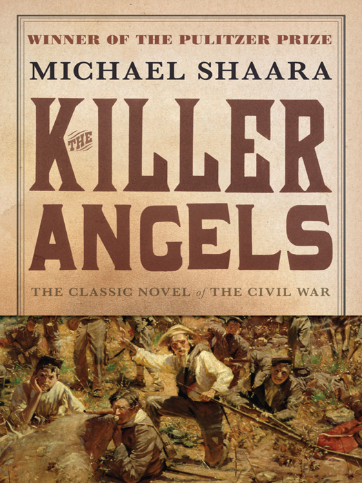 Praise for The Killer Angels The best Civil War novel ever written The - photo 1