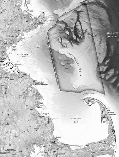 Mass Bay showing Stellwagen Bank Courtesy NOAA Held by a distinctive arm - photo 3