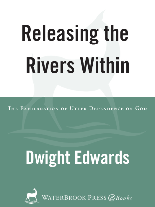 Praise for Releasing the Rivers Within This book will challenge you to let - photo 1