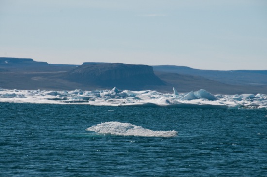 Gyrfalcon Bluff on the shore of Mercy Bay in Aulavik National Park A - photo 10