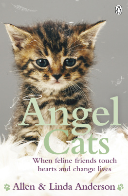 Allen Anderson - Angel Cats: When feline friends touch hearts and change lives