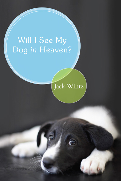 Will I See My Dog in Heaven 2009 First Printing Copyright 2009 by Jack Wintz - photo 1