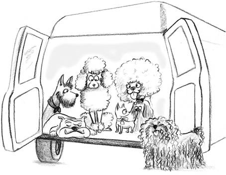 Going to the Dogs Confessions of a Mobile Pet Groomer Jan Nieman New - photo 1