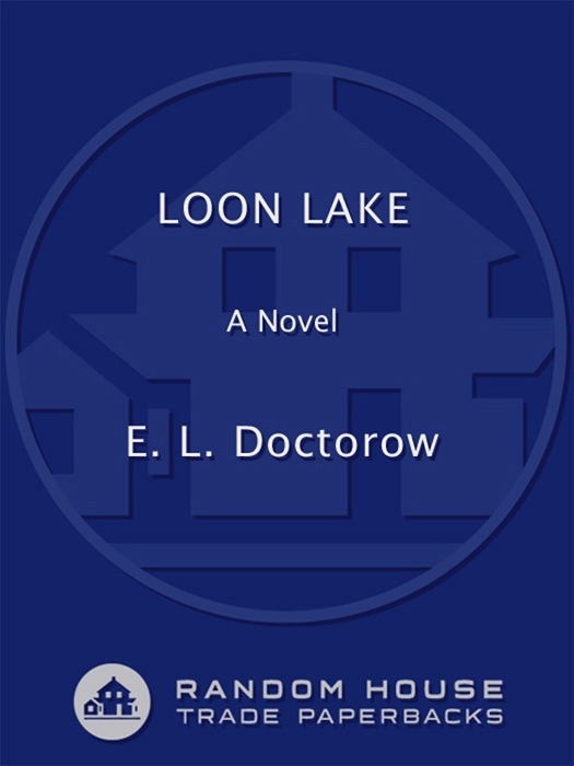 Praise for Loon Lake A fascinating tantalizing novel exhilarating The - photo 1