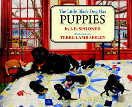 J. B. Spooner - The Little Black Dog Has Puppies