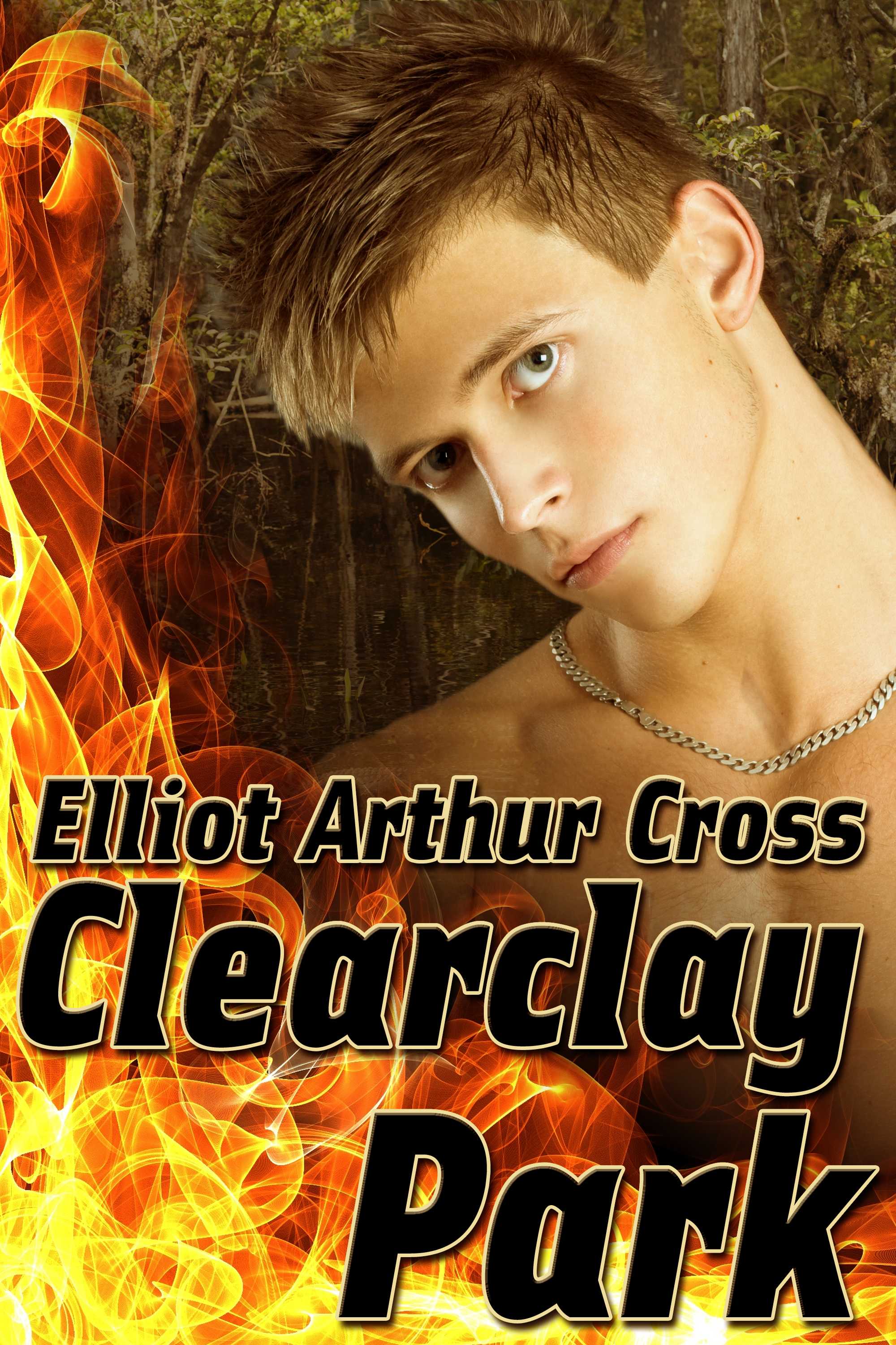 Clearclay Park By Elliot Arthur Cross Published by Queerteen Press Visit - photo 1