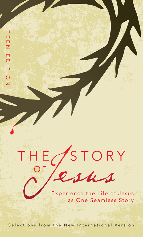 The Story of Jesus Teen Edition - image 1