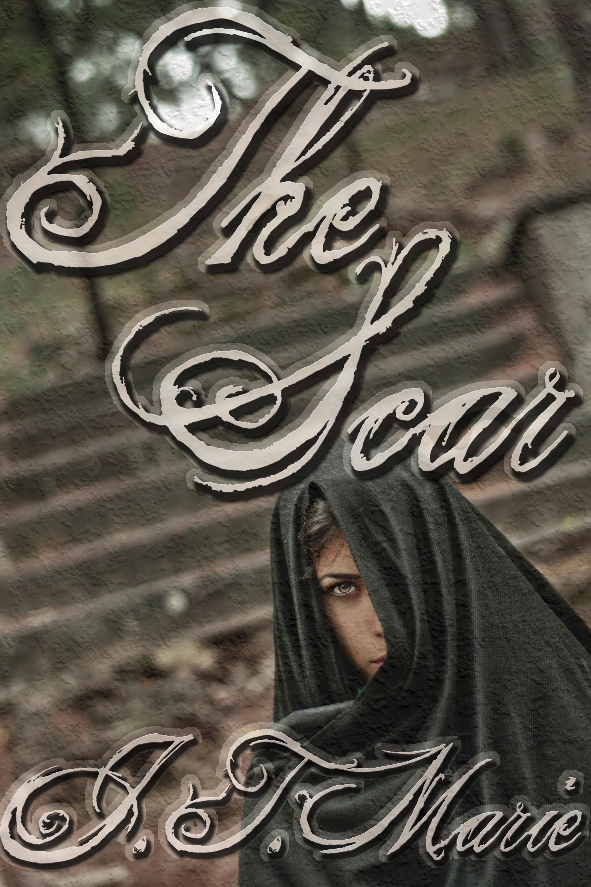 The Scar By JT Marie Published by Queerteen Press Visit queerteen-presscom - photo 1
