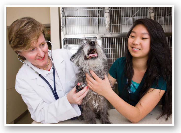 Veterinarians will often take care of the dogs without charging money just to - photo 6