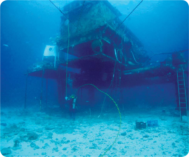 Researchers use technology to live on the ocean floor for many days - photo 19