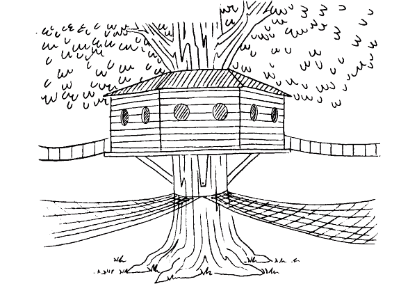 There were four other trees around the oak each with wooden bridges attached - photo 15