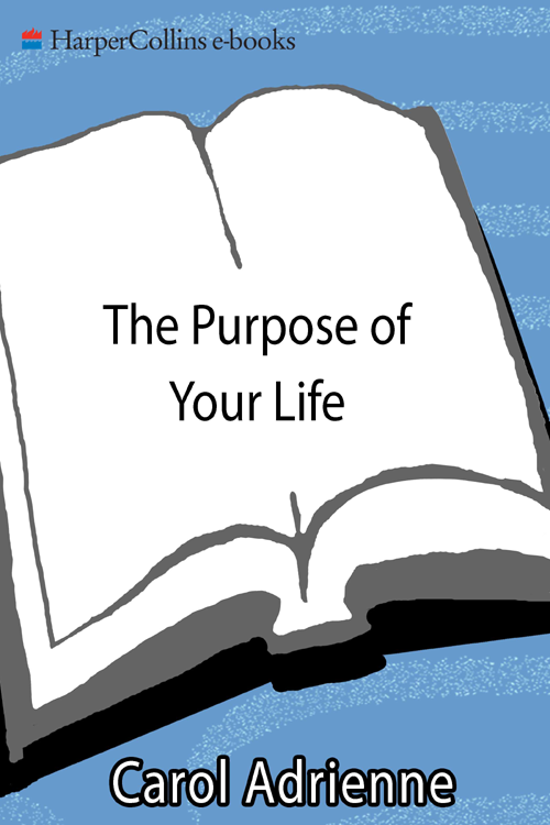 THE PURPOSE OF YOUR LIFE FINDING YOUR PLACE IN THE WORLD USING - photo 1