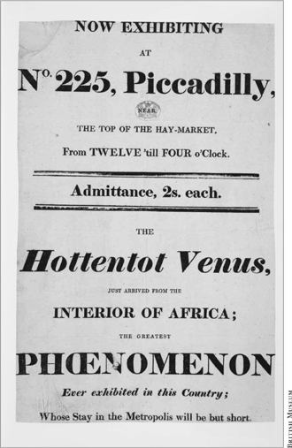 AARTJIE B AARTMAN stage name the Hottentot Venus emerged from behind a crims - photo 4