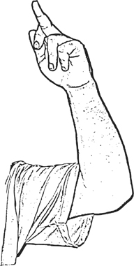 Screw You How-To Bend your arm at the elbow joint perpendicular to the - photo 18