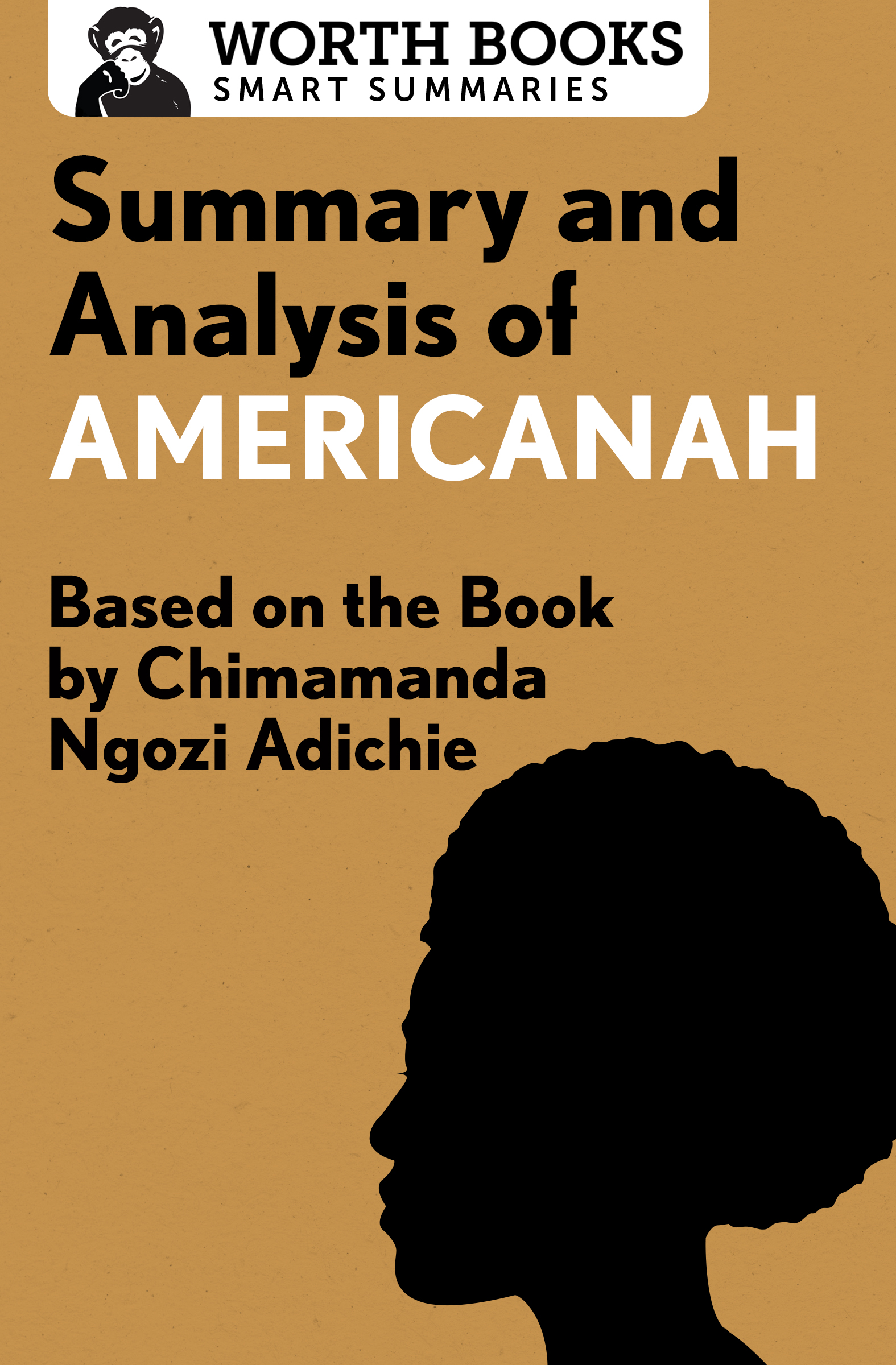 Summary and Analysis of Americanah Based on the Book by Chimamanda Ngozi - photo 1