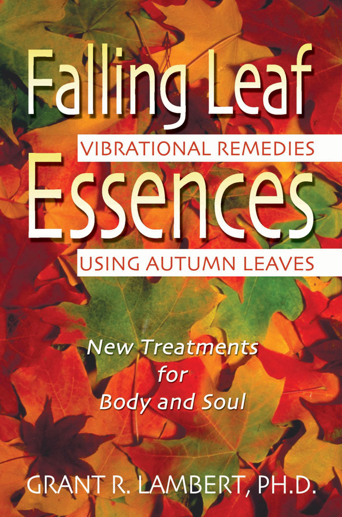 Falling Leaf Essences Vibrational Remedies Using Autumn Leaves - image 1