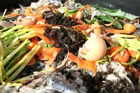 Composting is something that comes naturally Most people dont like to think of - photo 1