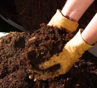 Compost is usually suggested as an improver to topsoil or additional mediums - photo 2