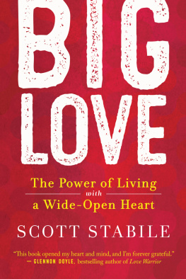 Scott Stabile Big Love: The Power of Living with a Wide-Open Heart