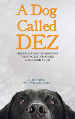 John Tovey - A Dog Called Dez--The Story of how one Amazing Dog Changed his Owners Life