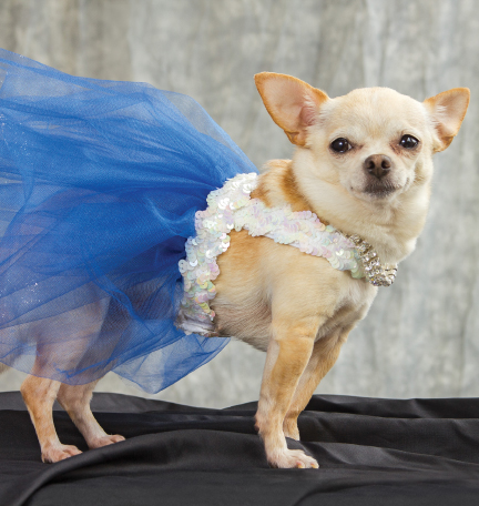 If the tutu fits wear it Take all your wrinkles as laugh lines - photo 9