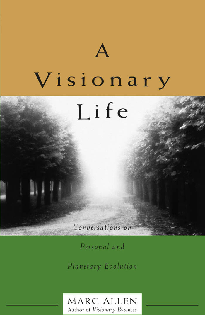 A Visionary Life By the Author Visionary Business How to Think Like a - photo 1