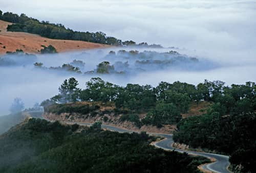 Fog covers the hills trees and Cachaqua Road above Monterey Countys Carmel - photo 8