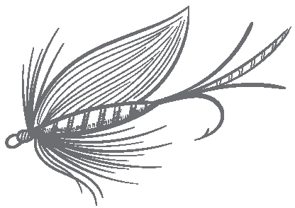 Introduction TROUT AND SALMON USE a calibration of light magnetism and the - photo 6