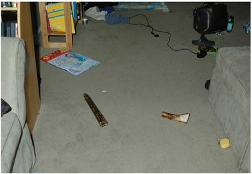 The boys bedroom with the tip of a latex glove the murderer discarded on the - photo 14