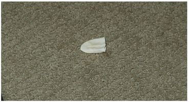 Close up of the tip of the latex glove found in Tims and Henrys bedroom - photo 15