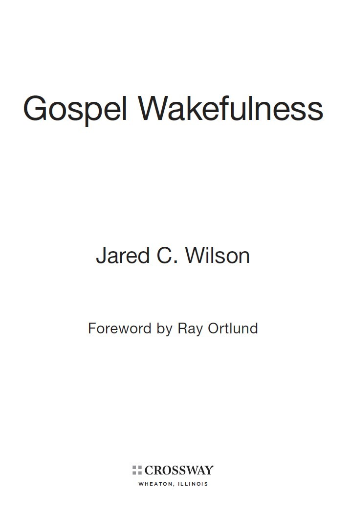 Gospel Wakefulness was a joy to read My eyes filled with tears and my heart - photo 2