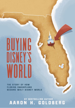 Aaron Goldberg Buying Disneys World