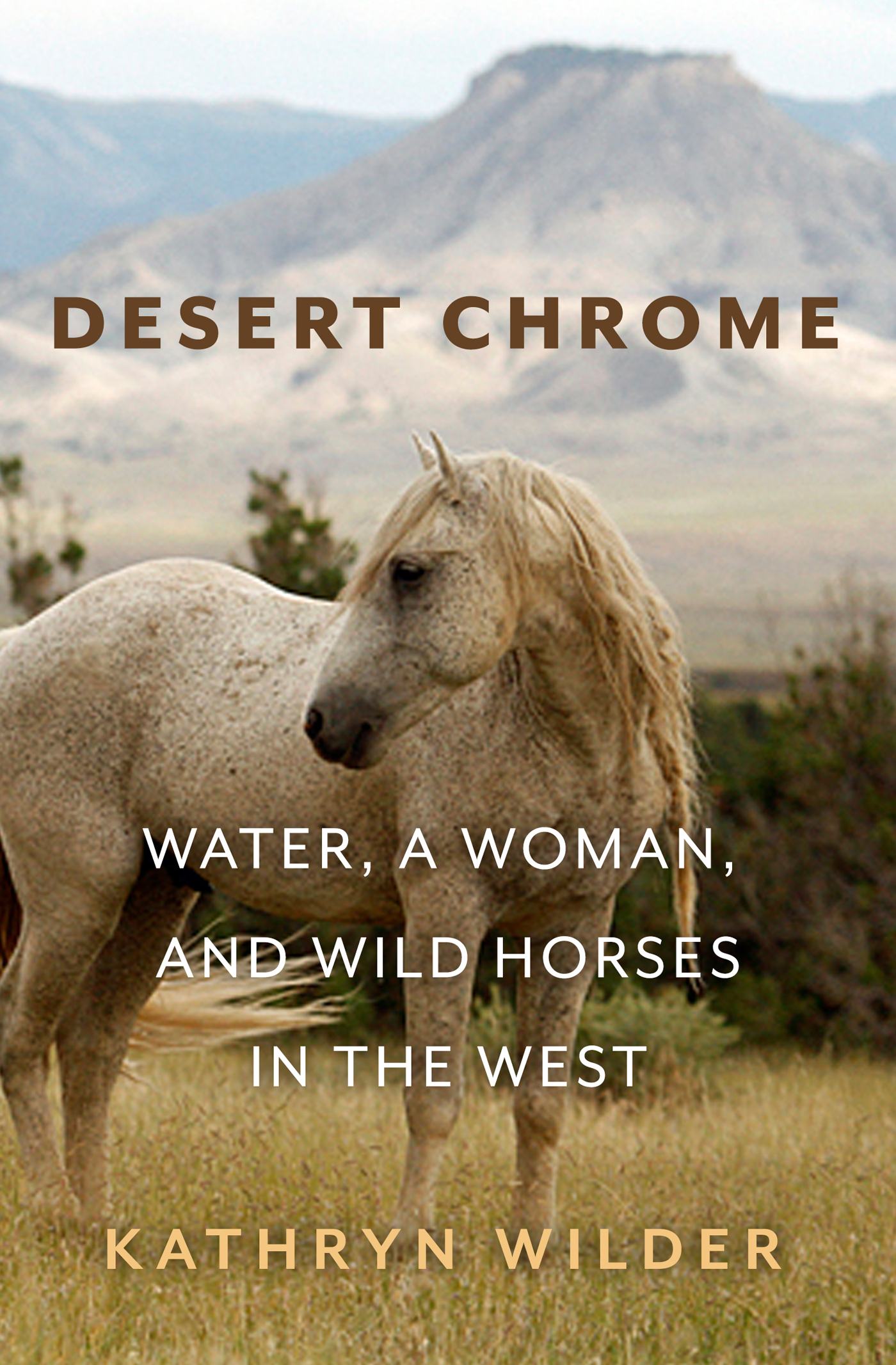 PRAISE FOR DESERT CHROME A raw and honest journey of addiction love trauma - photo 1