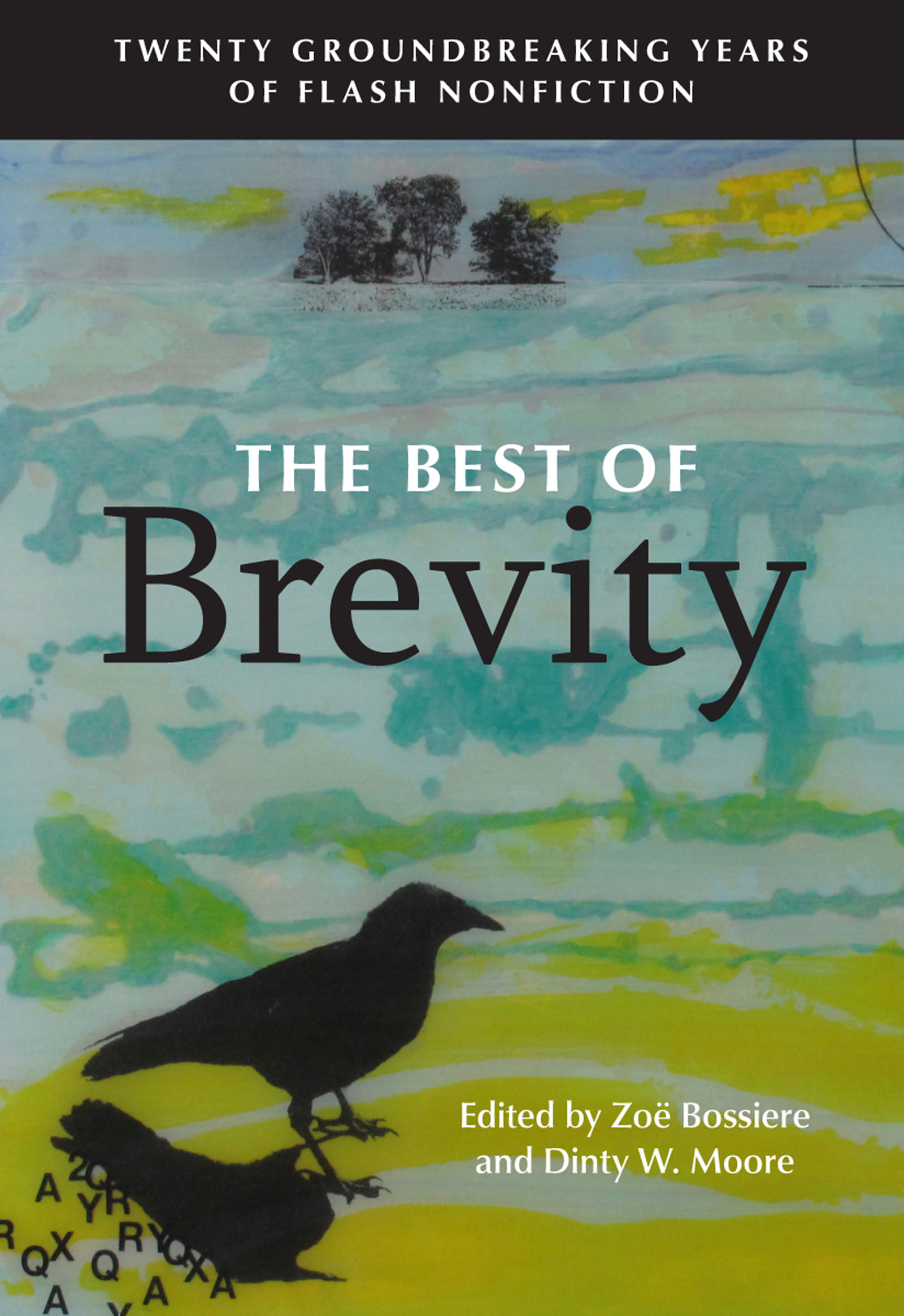 The Best of Brevity Featuring Flash Essays By Marcia Aldrich Brian - photo 1