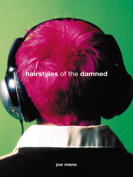 Joe Meno Hairstyles of the damned