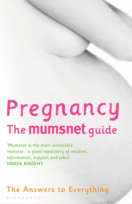 Mumsnet - Pregnancy: The Mumsnet Guide: The Answers to Everything