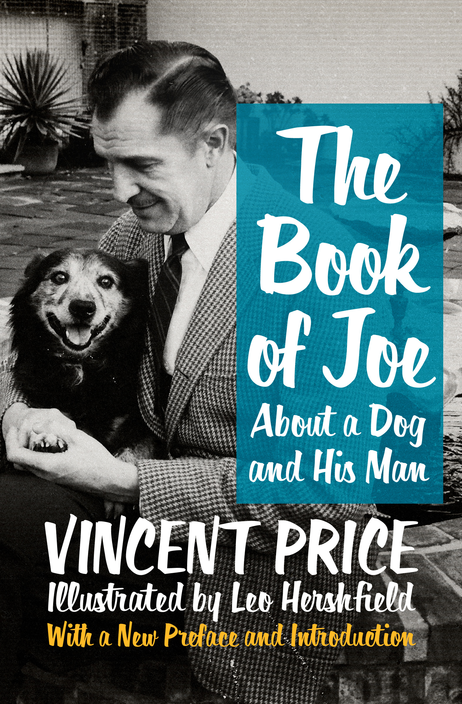 The Book of Joe About a Dog and His Man Illustrated by Leo Hershfield - photo 1