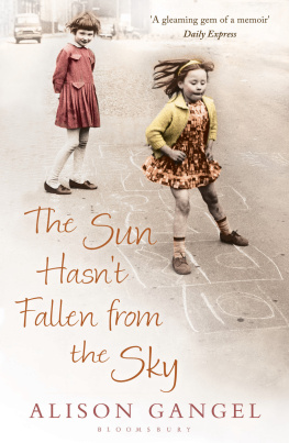 Alison Gangel - The Sun Hasnt Fallen From the Sky