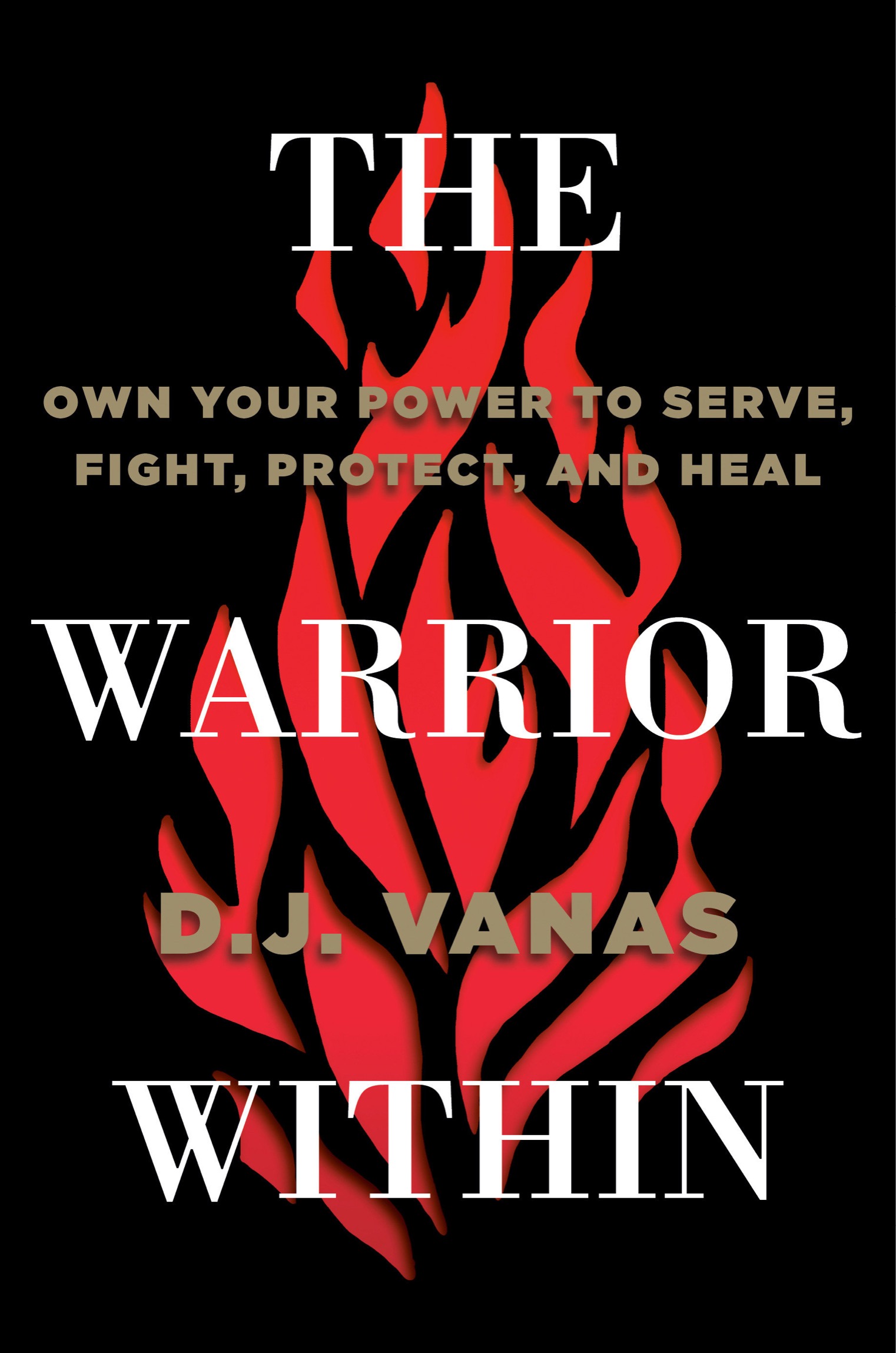 Praise for The Warrior Within Warriors as Air Force veteran DJ Vanas - photo 1