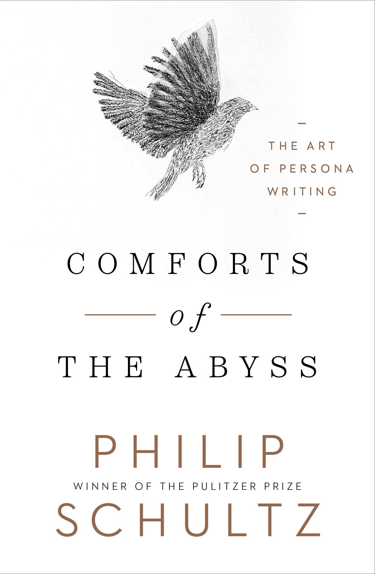 COMFORTS of the ABYSS THE ART OF PERSONA WRITING PHILIP SCHULTZ WW - photo 1